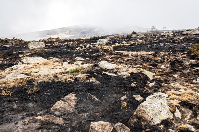 Wildfires raise risk of floods