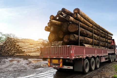 truck loaded with logs