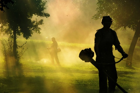 landscapers at work